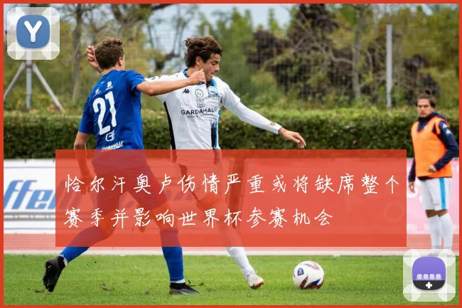 恰尔汗奥卢伤情严重或将缺席整个赛季并影响世界杯参赛机会