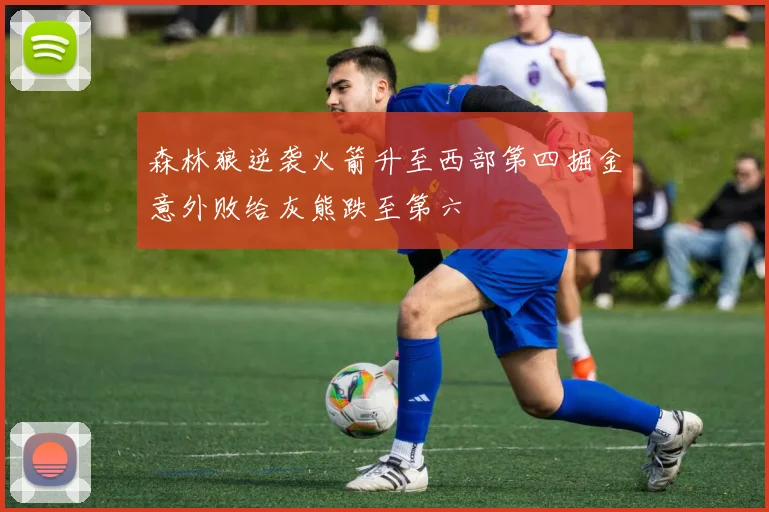 森林狼逆袭火箭升至西部第四掘金意外败给灰熊跌至第六